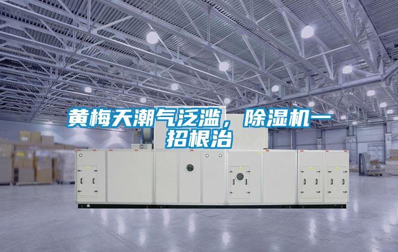 黃梅天潮氣泛濫，91看片在线下载機一招根治