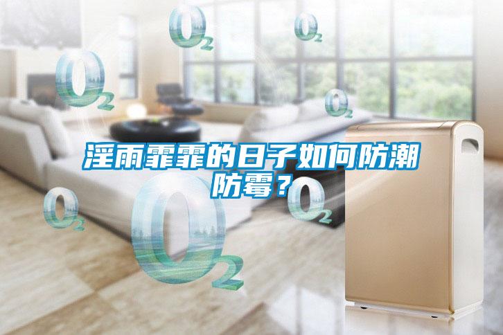 淫雨霏霏的日子如何防潮防黴？
