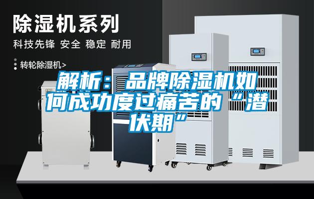 解析：品牌91看片在线下载機如何成功度過痛苦的“潛伏期”