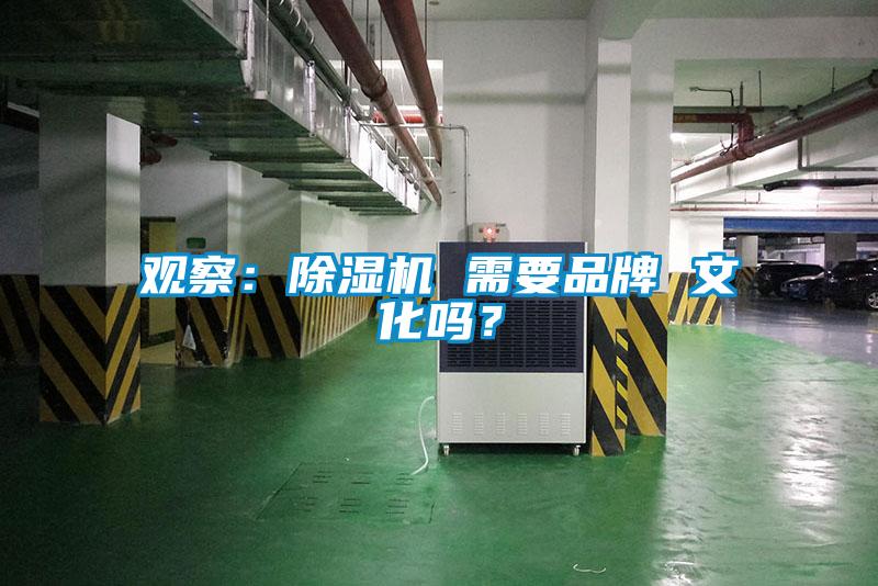 觀察：91看片在线下载機 需要品牌 文化嗎？