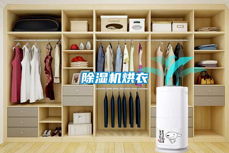 91看片在线下载機烘衣