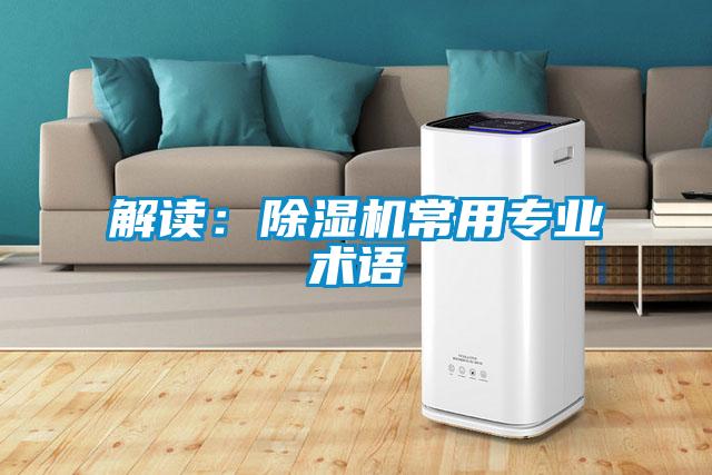 解讀：91看片在线下载機常用專業術語