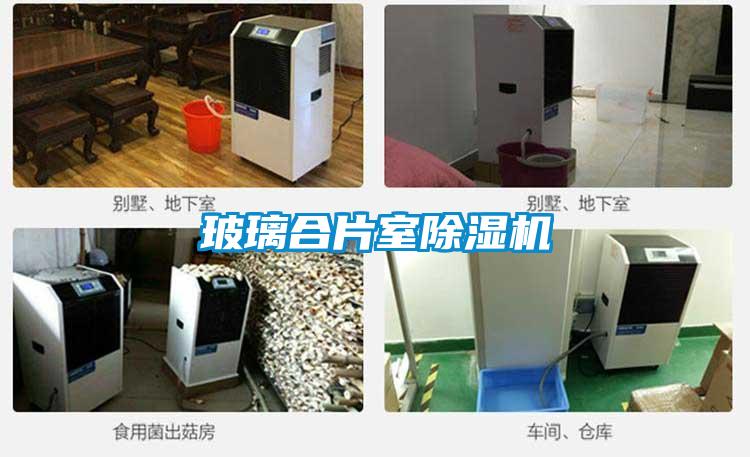 玻璃合片室91看片在线下载機