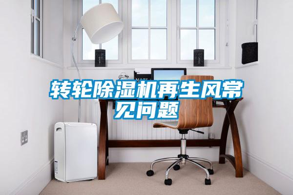 轉輪91看片在线下载機再生風常見問題