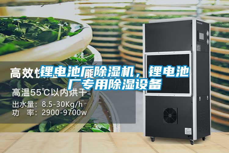 鋰電池廠91看片在线下载機，鋰電池廠專用91看片在线下载設備