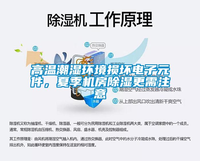 高溫潮濕環境損壞電子元件，夏季機房91看片在线下载更需注意