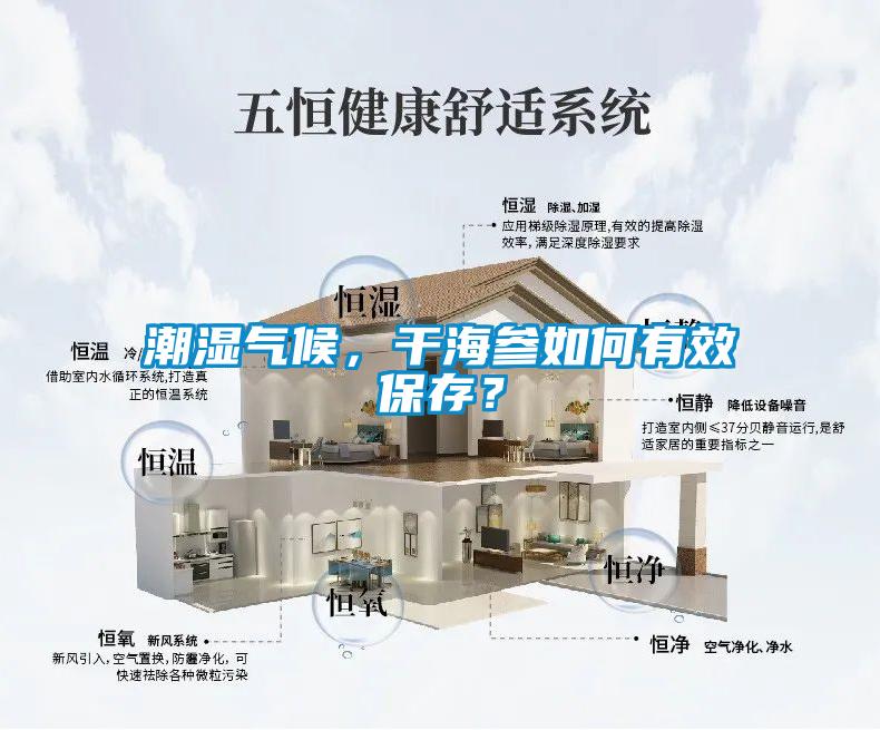 潮濕氣候，幹海參如何有效保存？
