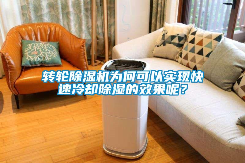 轉輪91看片在线下载機為何可以實現快速冷卻91看片在线下载的效果呢？