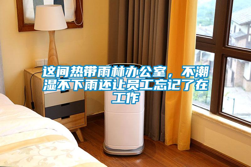 這間熱帶雨林辦公室，不潮濕不下雨還讓員工忘記了在工作