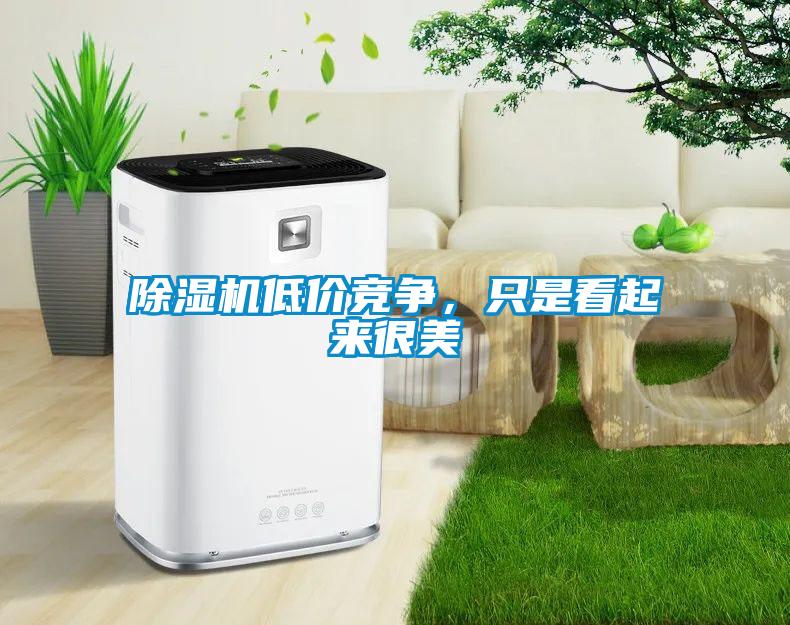 91看片在线下载機低價競爭，隻是看起來很美