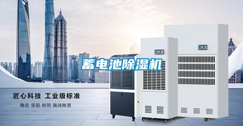 蓄電池91看片在线下载機