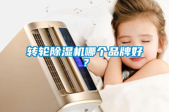 轉輪91看片在线下载機哪個品牌好？