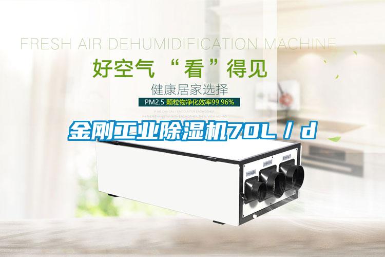 金剛工業91看片在线下载機70L／d