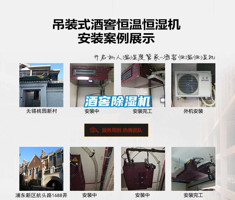 酒窖91看片在线下载機