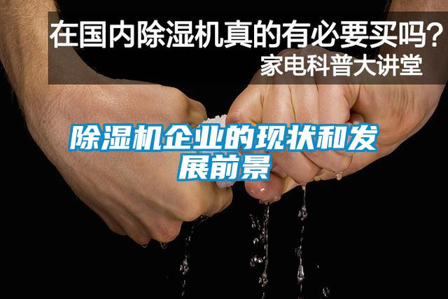 91看片在线下载機企業的現狀和發展前景
