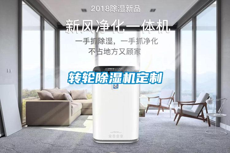 轉輪91看片在线下载機定製