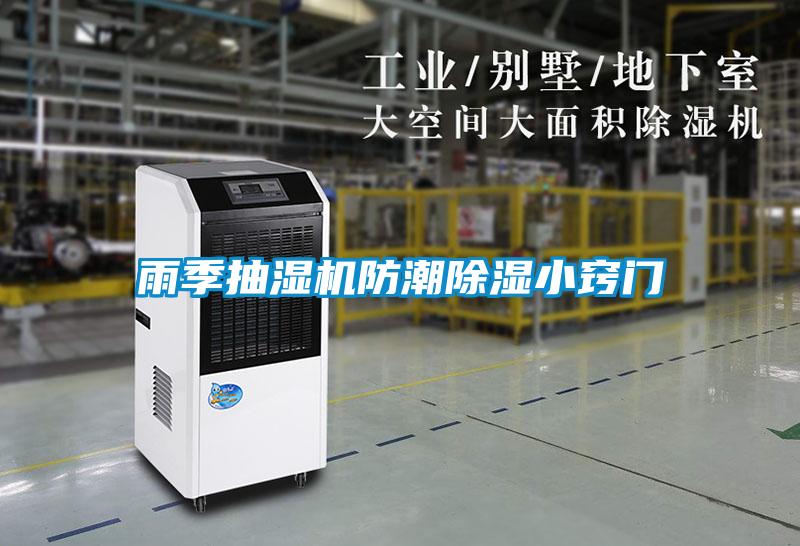 雨季抽濕機防潮91看片在线下载小竅門