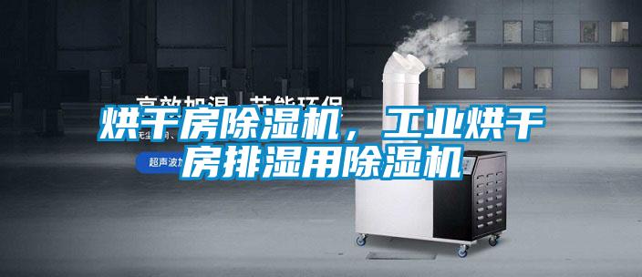 烘幹房91看片在线下载機，工業烘幹房排濕用91看片在线下载機