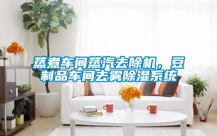 蒸煮車間蒸汽去除機，豆製品車間去霧91看片在线下载係統