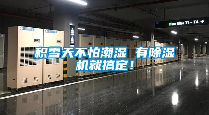 積雪天不怕潮濕 有91看片在线下载機就搞定！
