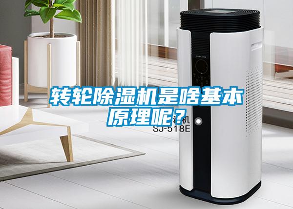 轉輪91看片在线下载機是啥基本原理呢？