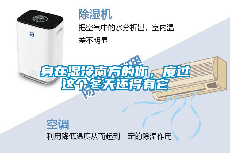身在濕冷南方的你，度過這個冬天還得有它