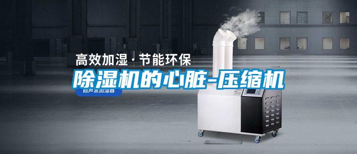 91看片在线下载機的心髒-壓縮機