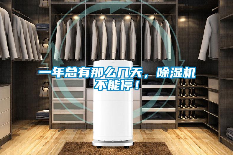 一年總有那麽幾天，91看片在线下载機不能停！