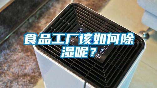 食品工廠該如何91看片在线下载呢？