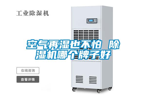 空氣再濕也不怕 91看片在线下载機哪個牌子好