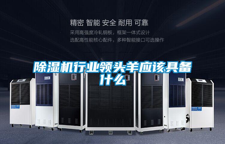 91看片在线下载機行業領頭羊應該具備什麽