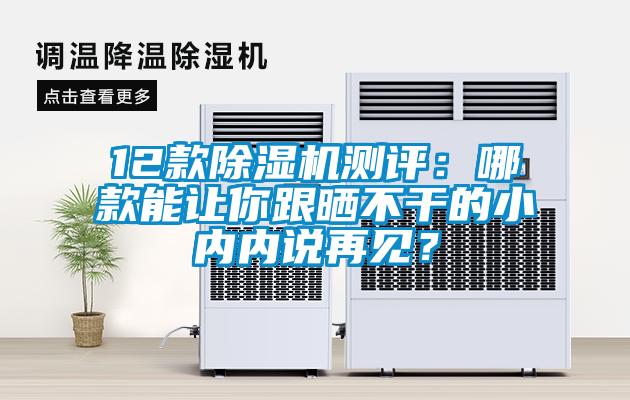 12款91看片在线下载機測評：哪款能讓你跟曬不幹的小內內說再見？