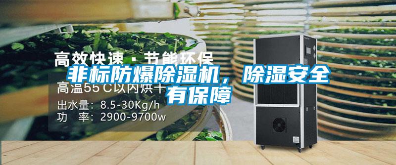 非標防爆91看片在线下载機，91看片在线下载安全有保障