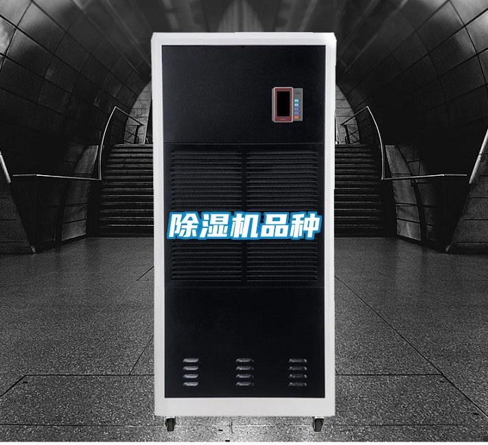 91看片在线下载機品種