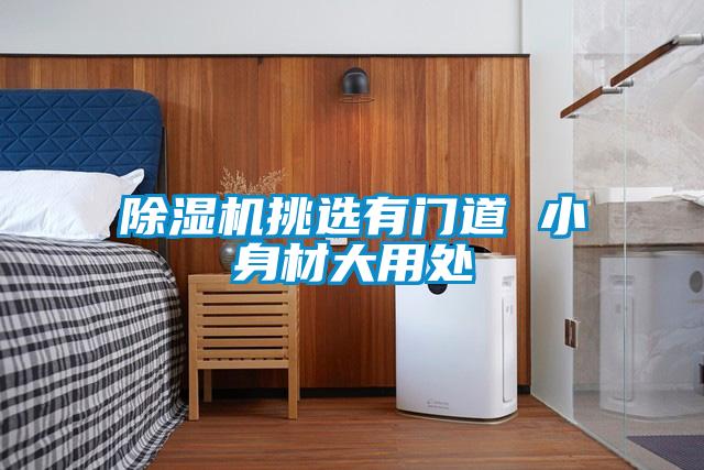 91看片在线下载機挑選有門道 小身材大用處