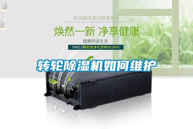 轉輪91看片在线下载機如何維護