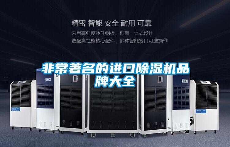 非常著名的進口91看片在线下载機品牌大全