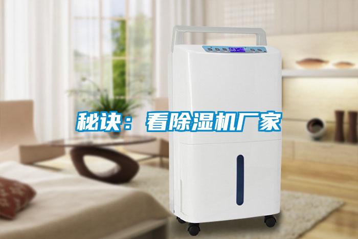 秘訣：看91看片在线下载機廠家