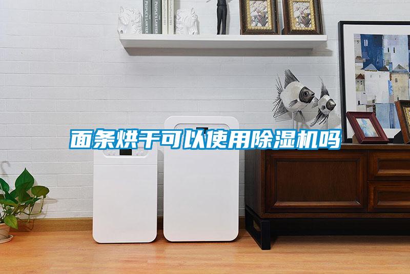 麵條烘幹可以使用91看片在线下载機嗎
