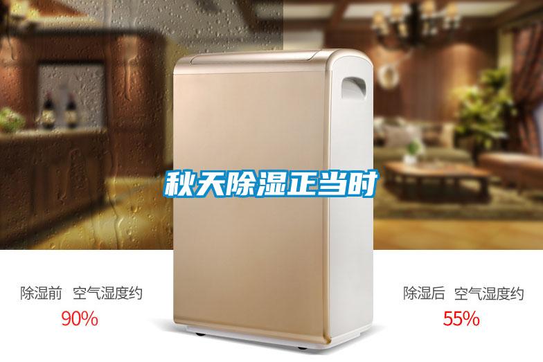 秋天91看片在线下载正當時
