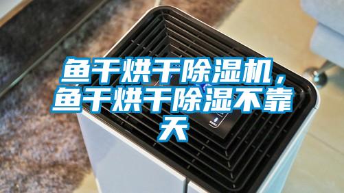 魚幹烘幹91看片在线下载機，魚幹烘幹91看片在线下载不靠天