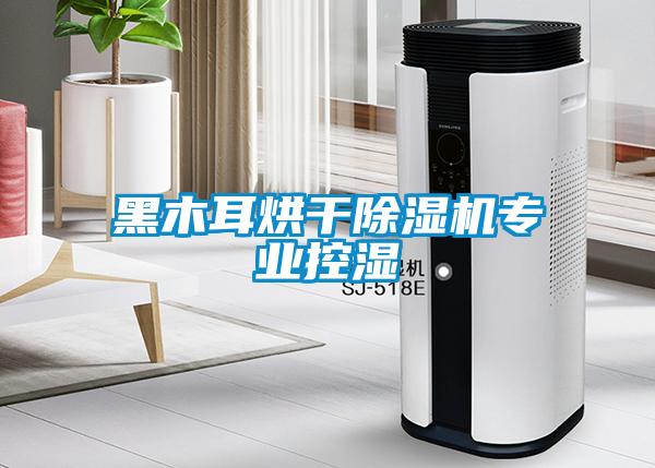 黑木耳烘幹91看片在线下载機專業控濕