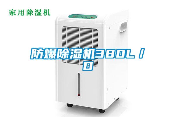 防爆91看片在线下载機380L／D