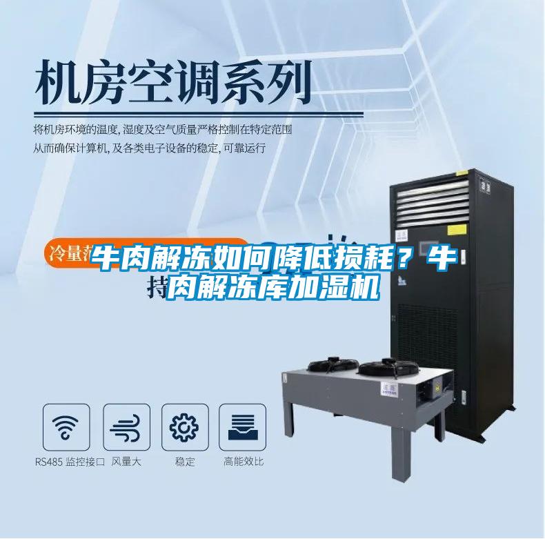 牛肉解凍如何降低損耗？牛肉解凍庫加濕機