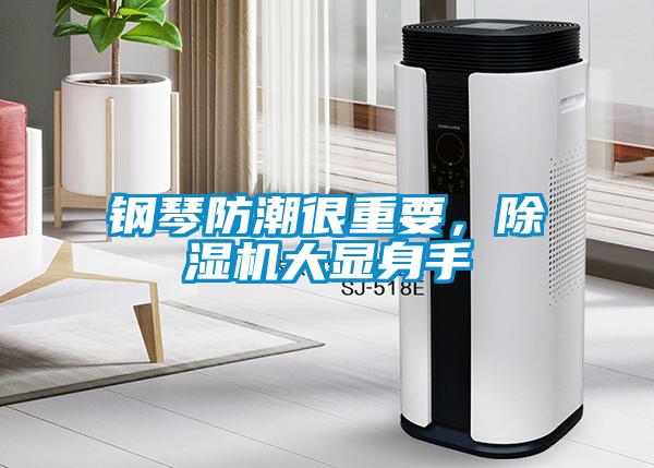 鋼琴防潮很重要，91看片在线下载機大顯身手