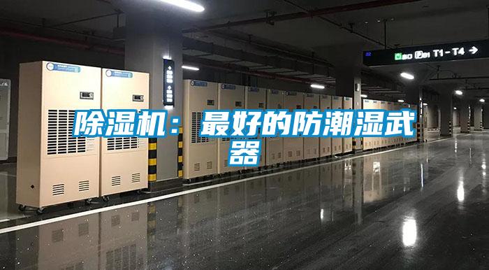 91看片在线下载機：最好的防潮濕武器
