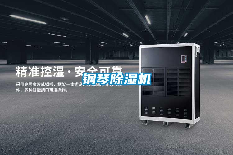 鋼琴91看片在线下载機