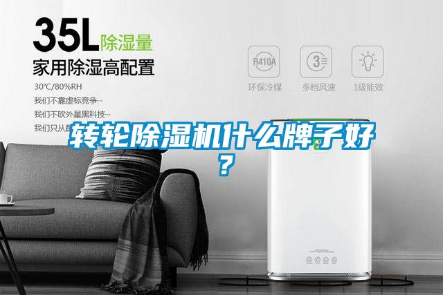 轉輪91看片在线下载機什麽牌子好？