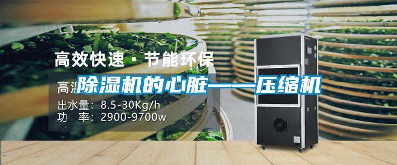 91看片在线下载機的心髒——壓縮機