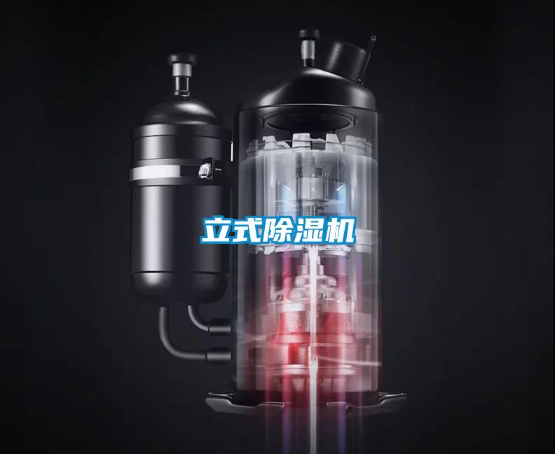 立式91看片在线下载機